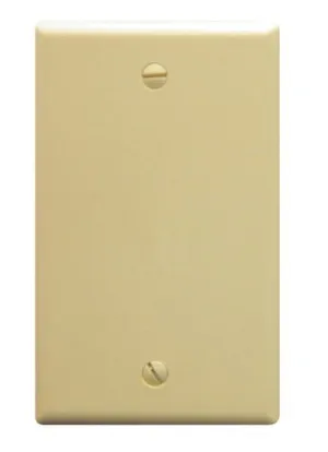 Flush Wall Plate Blank Ivory