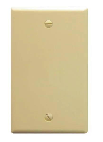 Flush Wall Plate Blank Ivory