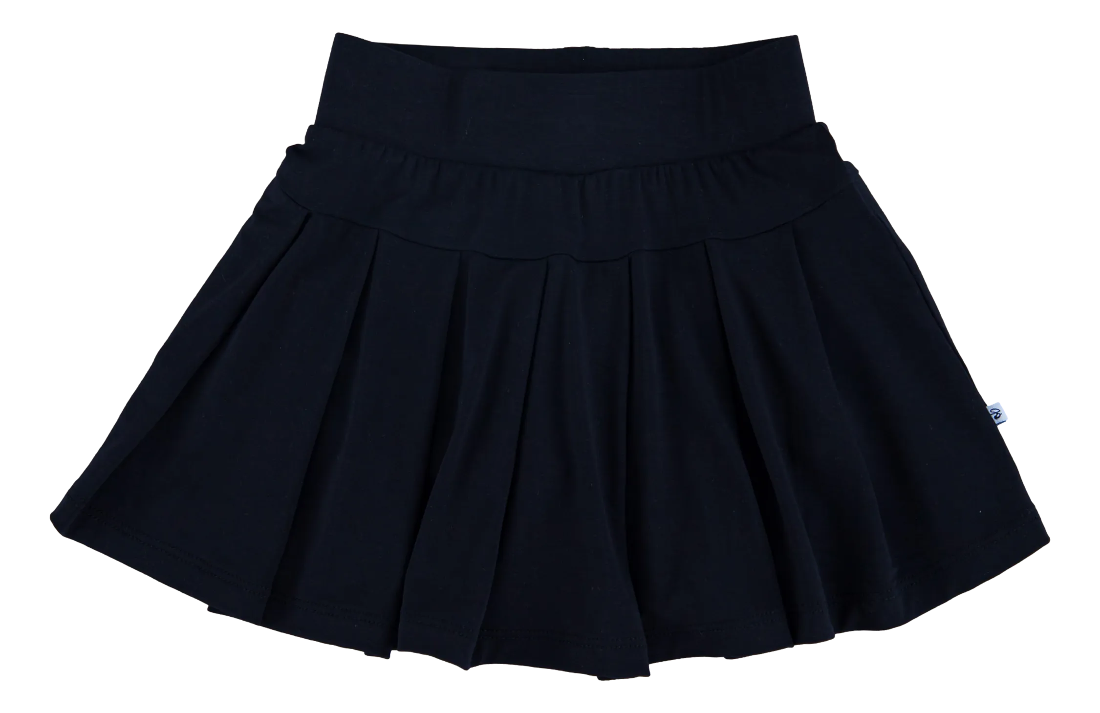 Jet Black Pleated Skirt