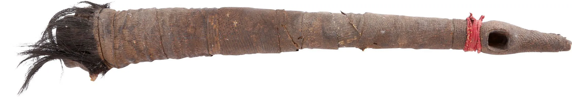 VERY RARE AFRICAN SLAVER'S WAR TRUMPET OLIPHANT